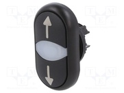 M22S-DDL-S-X7/X7