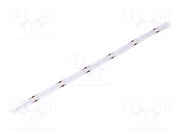 HH-SB528F010W24-COB IP20