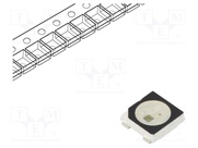 WS2812C-B