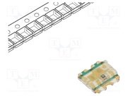19-337/S2GHBHC-A01/2T