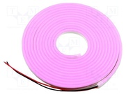 N006120BB1LZ (PINK)