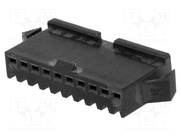NPPW-10