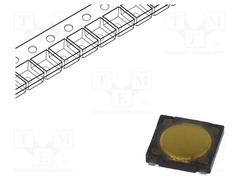 PTS530 GG065 SMTR LFS