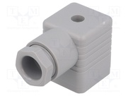 931957106 GDM 2011 GRAU