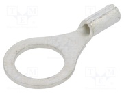 GS5-0.5