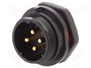 SP2112/P42N