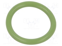 01-0021.00X3 ORING 75FPM GREEN
