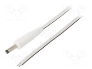 P40-TT-T050-150WH