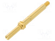 TK36SCR.09.2,30.C.300.A