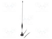 2J3204M-250LL100-C20N