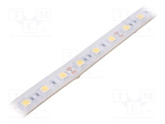 S010060CB1LZ (NEUTRAL WHITE IP65)