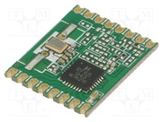 RFM65W-868S2