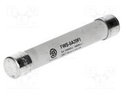 FWS-8A20FI