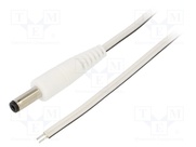 P48-TT-T035-150WH