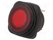 R13-203B84-01-BRRN1