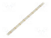 HH-S240F010-3528-24 CW WHITE PCB IP65A