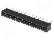 DS1020-04-24BVT1