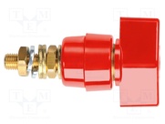 POL 631 L / RT