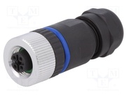 PXPPAM12FBF04ASTPG9