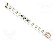 S010130BJ1HZ (NEUTRAL WHITE IP20)