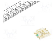 RF-P3S155TS-B53