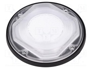 FN15264_STELLA-HB-WWW