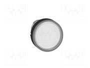 ZB4BW3137