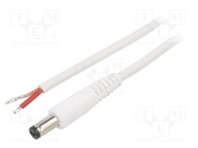 P55-TT-C100-150WH