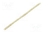 HH-SWWW560F010W24-COB