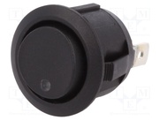 R13-112DL-02-BNYG