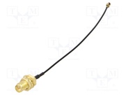 IPEX-RP-SMA-100