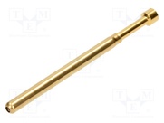 IT125-P10