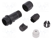 PXP4011/10P/3035
