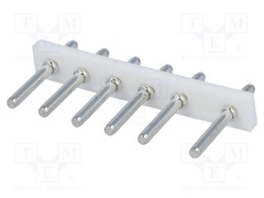 NHW-06