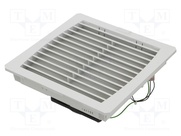 FF 42 55/230V GY