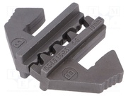 NB-JCRIMP02