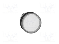 ZB4BW3137