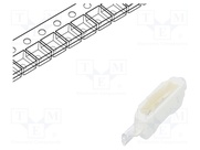 OSG54008C1F