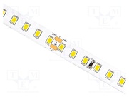 S010128BC1LZ (COLD WHITE IP20)