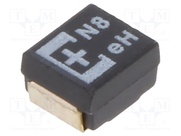 ETPE330MIB