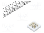 PBLB-1CQA-TCL