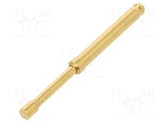 TK36L.10.2,50.S.170.A