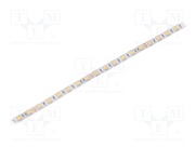 S010060CC1LZ (WARM WHITE IP64)