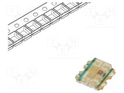 19-337C/RSBHGHC-A88/4T