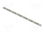 S010120BB1LZ (NEUTRAL WHITE IP20)