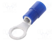 TMEX 2-5M-BLU
