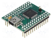 FT4232H MINI MODULE