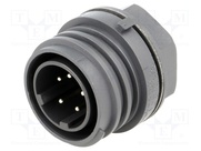 EXP-0931/05/P