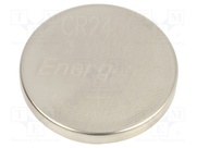 CR2450 BULK