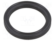 10-017.13X002.62  X-RING  FPM